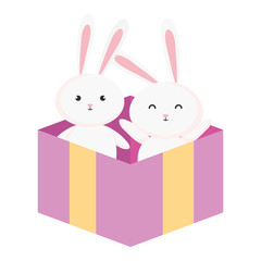 cute rabbits in gift box isolated icon vector illustration design