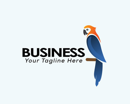 Simple elegant colors parrots bird alighted logo design inspiration