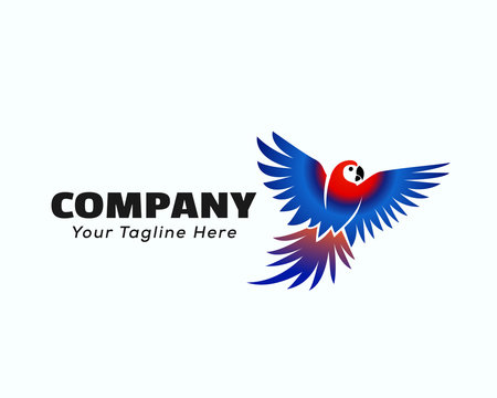 Flying colors parrots logo design inspiration