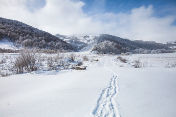 Footprints in the snow, Karachay-Cherkessia, Russia