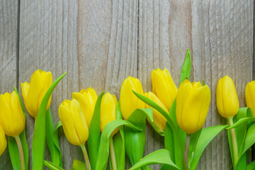 Naklejka premium Spring blooming yellow tulips on wooden backgound. Concept of spring holidays - women's day, mothers day, easter