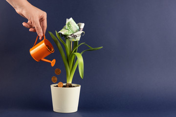 Concept Money is growing. A female hand holds a small watering can and pours coins with a sprout in...