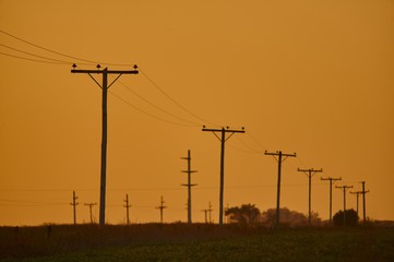 Scenery of sunset in an overhead power line