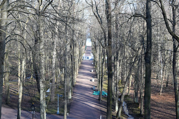 Fototapety na wymiar - Fototapeta24.pl