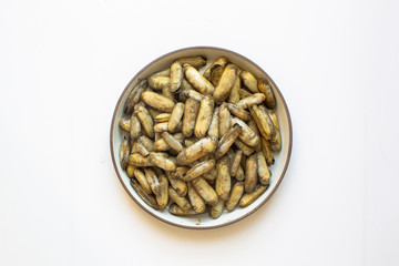Razor clam just fished in the sea on white background.