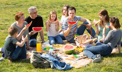 Cheerful  family  on picnic
