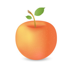 Red apple with a green leaf on a white background. Design element for print and web.