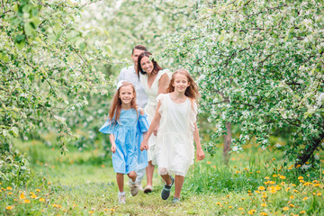 Fototapeta premium Adorable family in blooming cherry garden on beautiful spring day