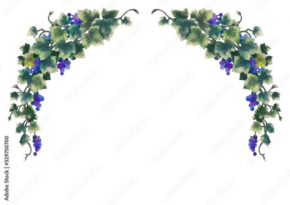 Wall mural Grapes illustration frame 07-2	