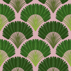 .Ravenala madagascariensis seamless pattern.Vintage texture with fan foliage on a pink background. Hand drawn vector illustration with an exotic giant palm tree..