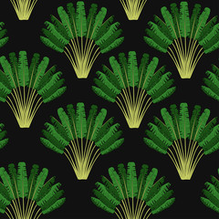 ..Ravenala madagascariensis seamless pattern.Vintage texture with fan foliage on a black background. Hand drawn vector illustration with an exotic giant palm tree.