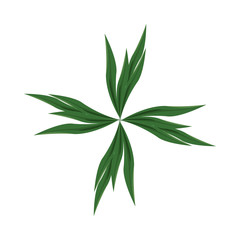 ecology leafs foliage nature icon