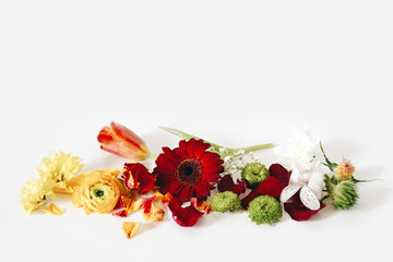 palette of flower petals, gradient of petals, yellow, orange, red, green.