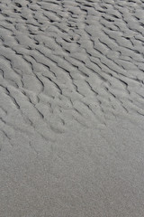 texture of sand