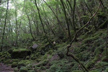 山犬嶽　yamainudake