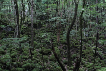 山犬嶽　yamainudake