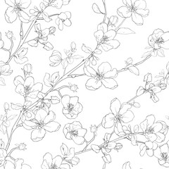 Apple blossom. Floral seamless pattern with black outline flowers, branches, leaves on white background. Hand drawn. For textile, wallpapers, print, wrapping paper. Vector stock illustration.