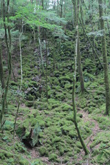 山犬嶽　yamainudake