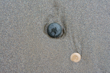 pebble on beach
