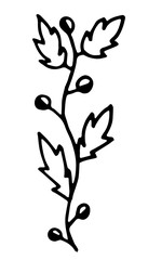 Naklejka premium floral elements, flowers, foliage and leaves. Hand sketched vector vintage elements, doodle style.