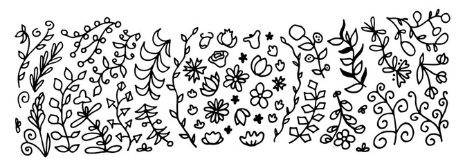 floral elements, flowers, foliage and leaves. Hand sketched vector vintage elements, doodle style.