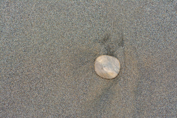 pebble on beach