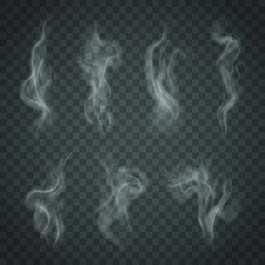 Wandcirkels plexiglas Set of isolated smoke on a transparent background. White steam from a cup of coffee or tea © Tori Art