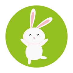 cute rabbit animal in frame circular vector illustration design