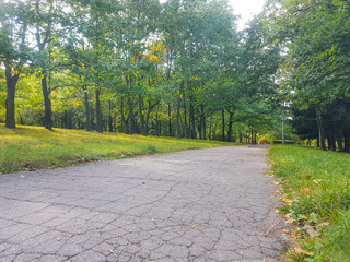 old empty cracked road through the woods