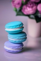 Fototapeta na wymiar stack of blue macaroons on white background with copy space for text