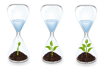 pflanze, wachstum, green, blatt, isoliert, topf, natur, keimling, boden, anbau, existenz, keimen, jung, neu, baum, weiß, ackerbau, gartenarbeit, garden, botanik, gering, frühling, wachsen, dirt, welt