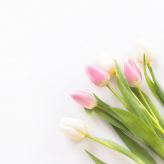 Fototapeta premium Bouquet of white and pink tulips on a white background. Women's Day, Mom's Day
