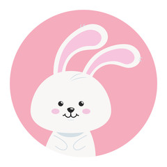 cute rabbit animal in frame circular vector illustration design