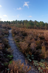 heaters and hiking path in the Vallée chaude plateau. Fontainebleau forest