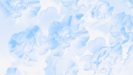 Pale blue abstract background. Floral gradient background, delicate carnation flowers pattern. 16:9...