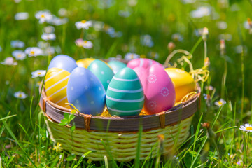 Ostereier in einem Korb auf der Wiese