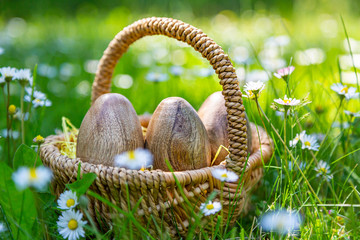 Ostereier aus Holz in einem Korb auf der Wiese
