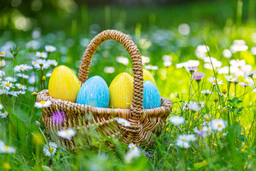 Ostereier in einem Korb auf der Wiese