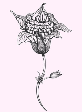 recommend clip art: Hand-drawn graphic illustration with muffins and flowers. cupcake flowers.Hand-drawn graphic illustration with muffins and flowers. cupcake flowers.