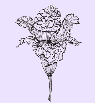 recommend clip art: Hand-drawn graphic illustration with muffins and flowers. cupcake flowers.Hand-drawn graphic illustration with muffins and flowers. cupcake flowers.