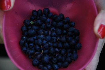 Blueberries