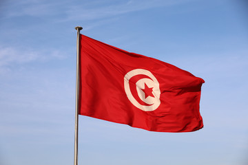 Isolated Tunisian flag floating in the wind