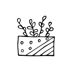 Hand drawn flower in a pot isolated on a white background. Doodle, simple outline illustration. It can be used for decoration of textile, paper.