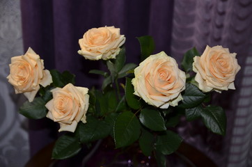  Against the background of purple textile, on a round glass table is a bouquet of beautiful fresh fragrant orange roses with green leaves.