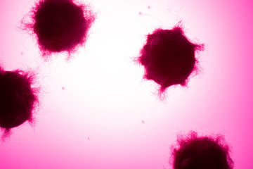 Coronavirus image | wuhan virus