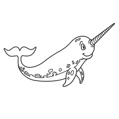 animal narwhal. vector illustration. For pre school education, kindergarten and kids and children. Coloring page and books, zoo topic. ocean, sea and underwater fish species. unusual and rare animal
