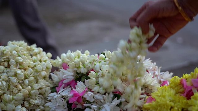 Hand of an Indian woman lifts a garland of fresh flowers
