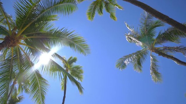Spinning under palm trees in slow motion 180fps