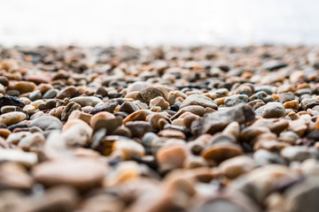 Pebbles and small stones on the shore of the Danube.