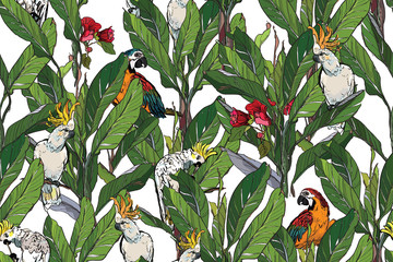 Fototapety  Wielokolorowe papugi kakadu w liściach bananowca, egzotyczne ptaki w projektowaniu tkanin Jugnle, czerwone kwiaty, tropikalne liście, nadruk kakadu